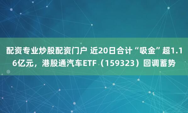 配资专业炒股配资门户 近20日合计“吸金”超1.16亿元，港股通汽车ETF（159323）回调蓄势